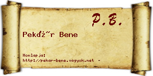 Pekár Bene névjegykártya